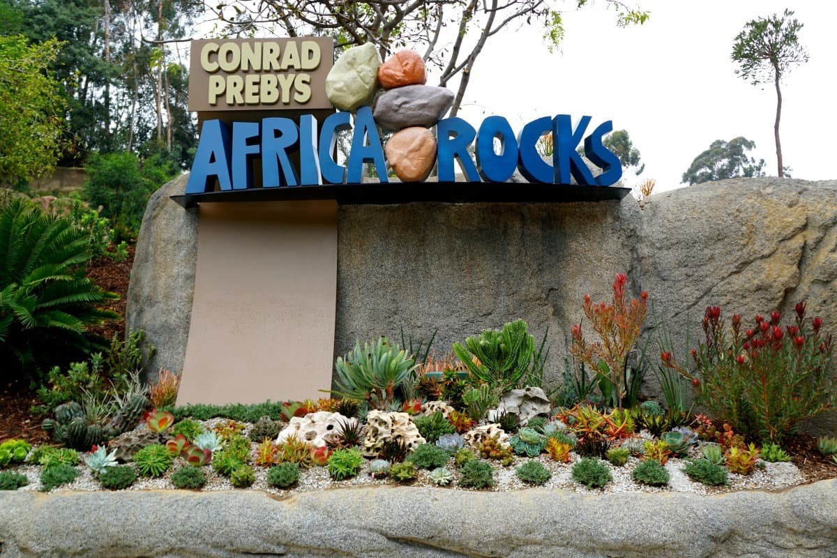 San Diego Zoo, Africa Rocks