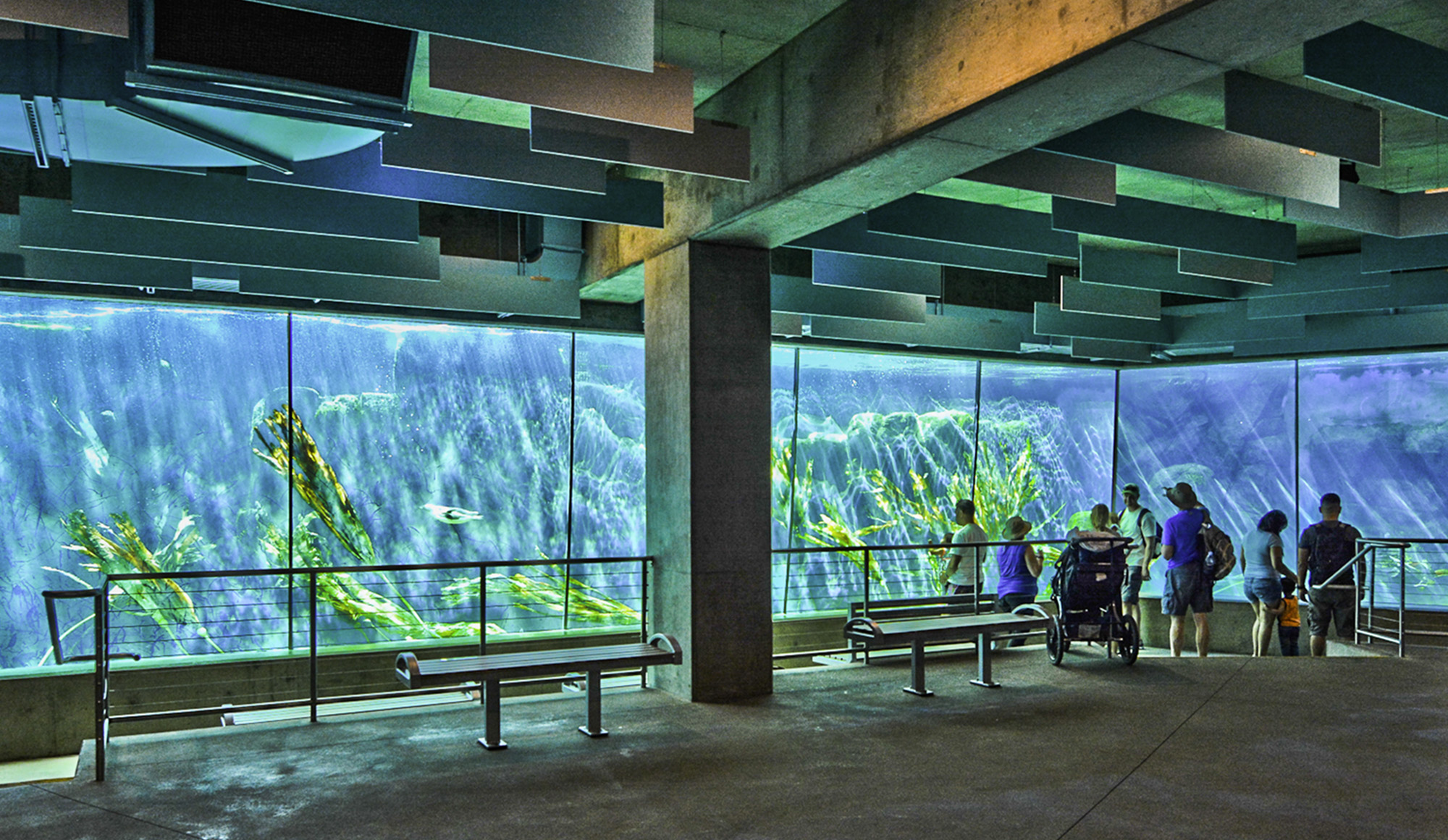 Engineering Comfort and Safety for an Immersive Wildlife Experience