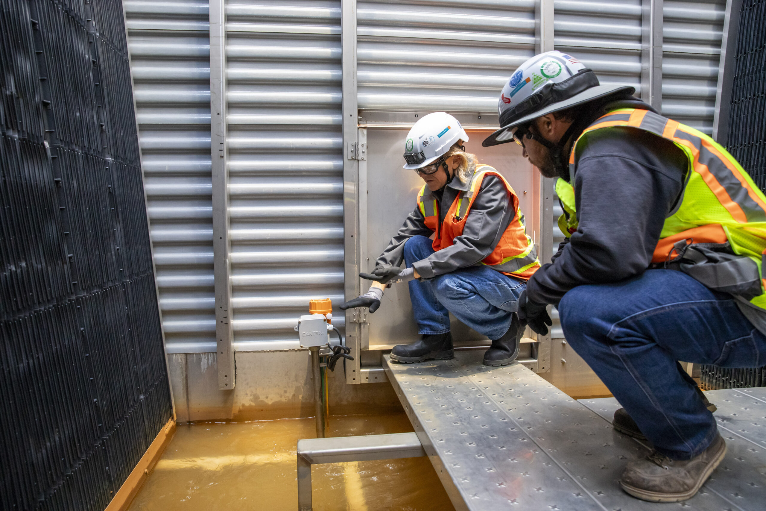 Sustainability as a Mindset