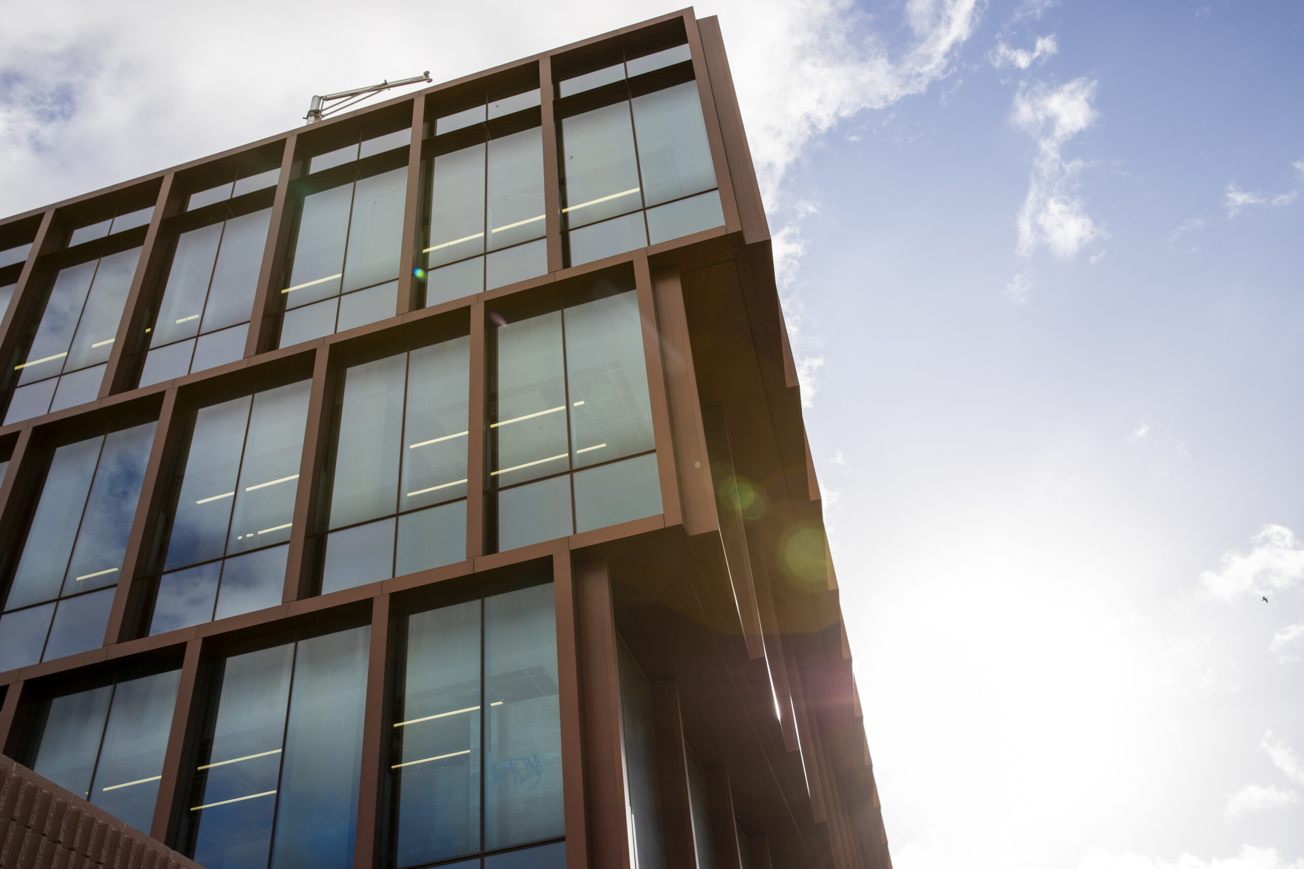 Sustainable Project Experience